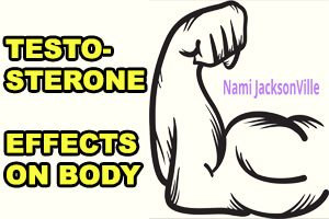 testosterone effects on body