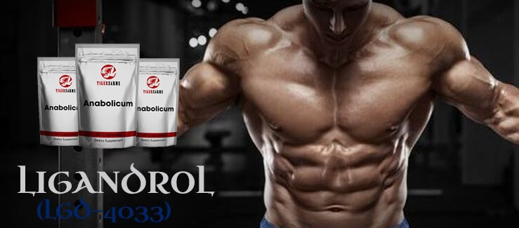ligandrol-lgd-4033